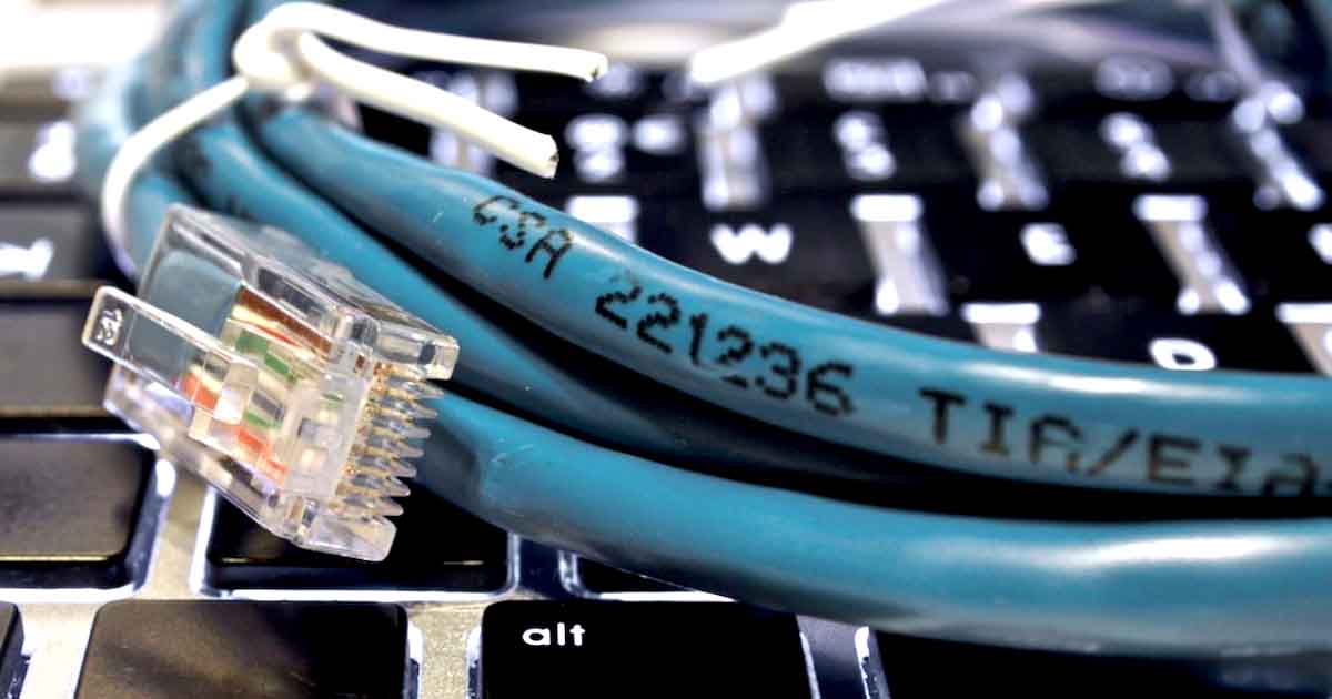 The Best Ethernet Cables of 2023 