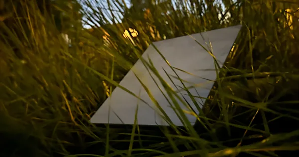 Starlink dish sitting in the grass