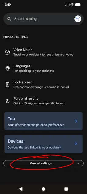 Screenshot showing Google Assistant